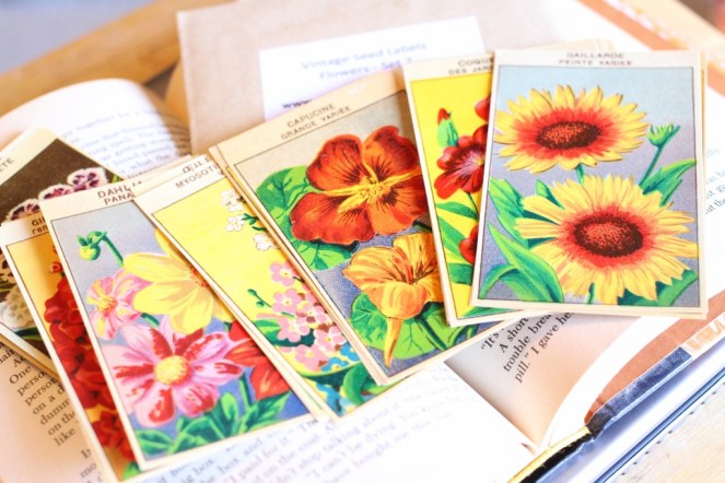 seed packs (1024x683)