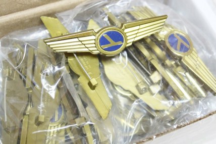 wing pins (1024x684)