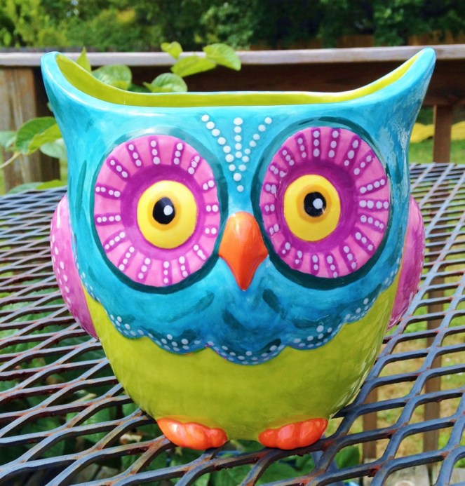 owl after (979x1024)